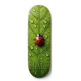 Half Audio - Lady Bug