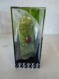 Half Audio - Lady Bug
